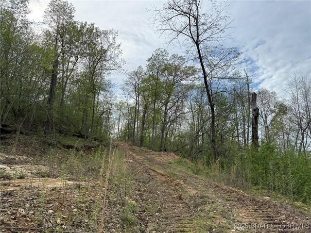 Burkle Pond Rd, Eldon, MO 65026