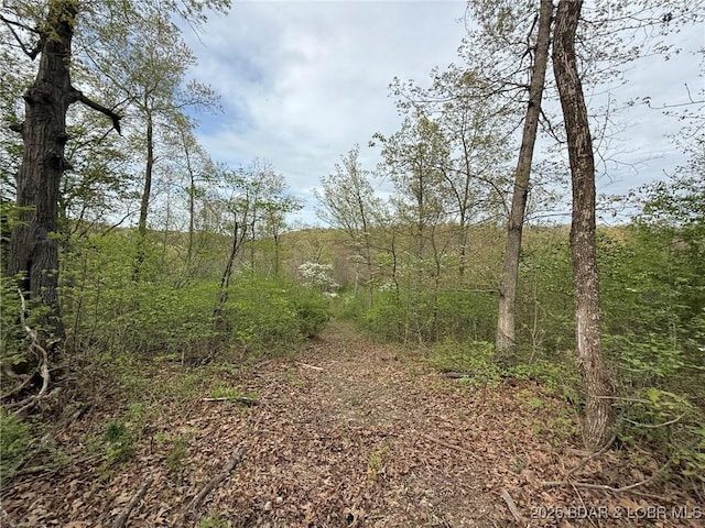 Burkle Pond Rd, Eldon, MO 65026