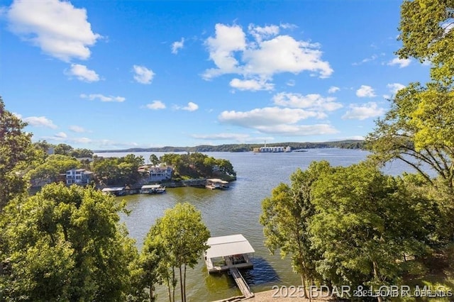 549 Cedar Rd, Lake Ozark, MO 65049 - water view with a dock