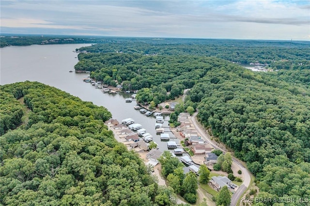 80 Ledgestone Estates Ct, Sunrise Beach, MO 65079 - aerial view of a forest and a nearby body of water