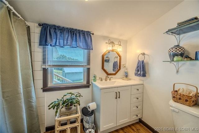 15852 Kindling Rd, Eldridge, MO 65463 - bathroom featuring toilet, vanity, wood finished floors, and a shower with curtain