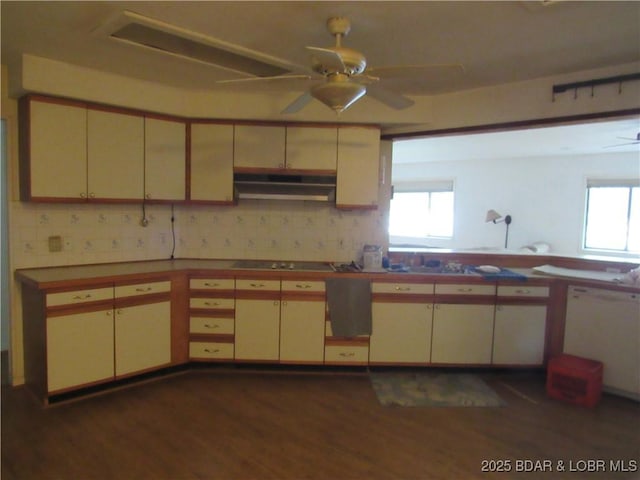 kitchen with under cabinet range hood, dark wood-style floors, and plenty of natural light