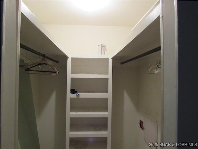 view of spacious closet