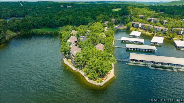 101 Circle Edge Unit 20-3A, Lake Ozark, MO 65049 - aerial view of a large body of water and a forest