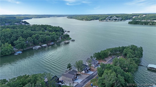 105 Hollow Oak Ct, Sunrise Beach, MO 65079 - photo 41