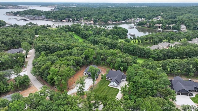 299 Via Appia Dr, Sunrise Beach, MO 65079 - photo 4
