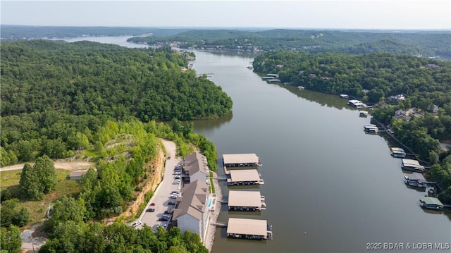 166 Oak Harbor Dr Unit 2B, Camdenton, MO 65020 - photo 28
