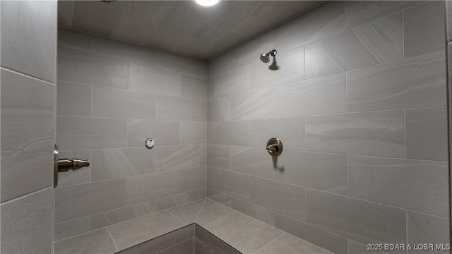 1624 Kays Point Rd, Four Seasons, MO 65049 - bathroom featuring tiled shower