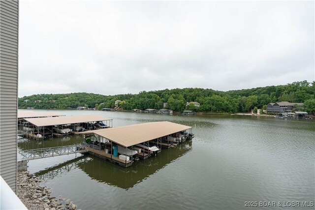138 Oak Harbor Dr Unit 2E, Camdenton, MO 65020 - photo 46