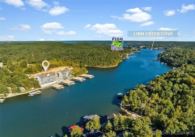 138 Oak Harbor Dr Unit 2E, Camdenton, MO 65020 - photo 39