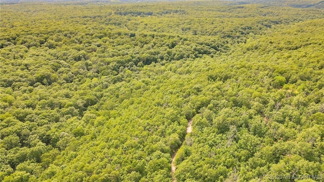 46.65 Medley Ln, Eldridge, MO 65463