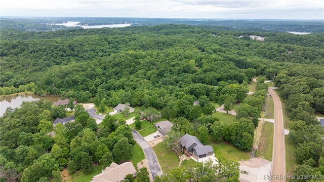 25 Quiet Meadows Dr, Linn Creek, MO 65052 - photo 35