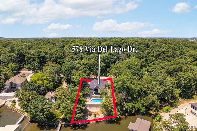 578 Via Del Lago Dr, Sunrise Beach, MO 65079 - photo 47