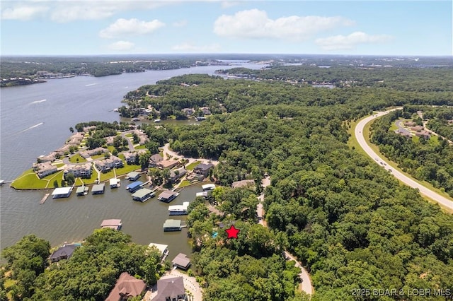 578 Via Del Lago Dr, Sunrise Beach, MO 65079 - photo 48