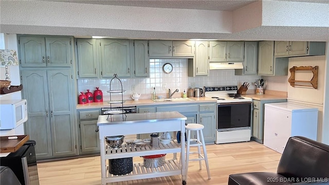 1206 Triple Cove Ln, Climax Springs, MO 65324 - kitchen featuring range with electric cooktop, white microwave, range hood, and light wood-style floors