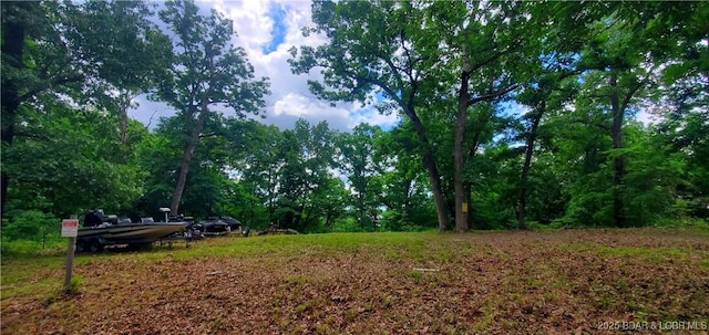31762 Pecan Dr, Rocky Mount, MO 65072 - view of yard