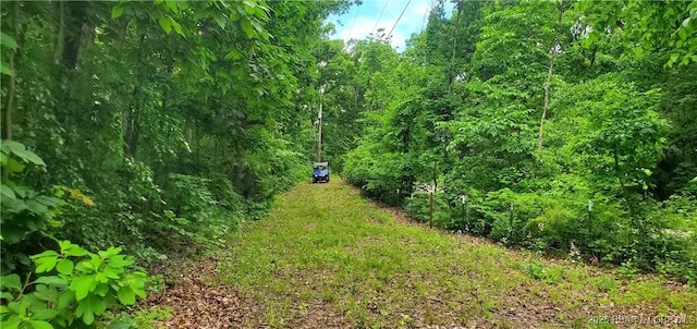 31762 Pecan Dr, Rocky Mount, MO 65072 - view of nature