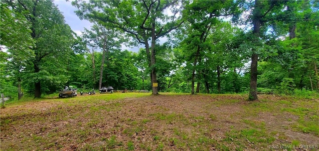 31762 Pecan Dr, Rocky Mount, MO 65072 - view of yard