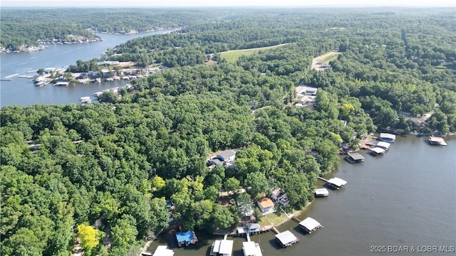 31762 Pecan Dr, Rocky Mount, MO 65072 - aerial overview of property's location featuring a heavily wooded area and a large body of water