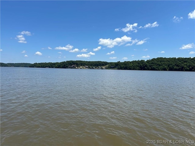 32585 N Ivy Bend Rd, Stover, MO 65078 - water view