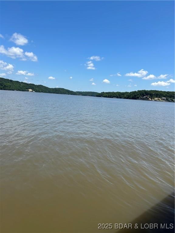 32585 N Ivy Bend Rd, Stover, MO 65078 - water view