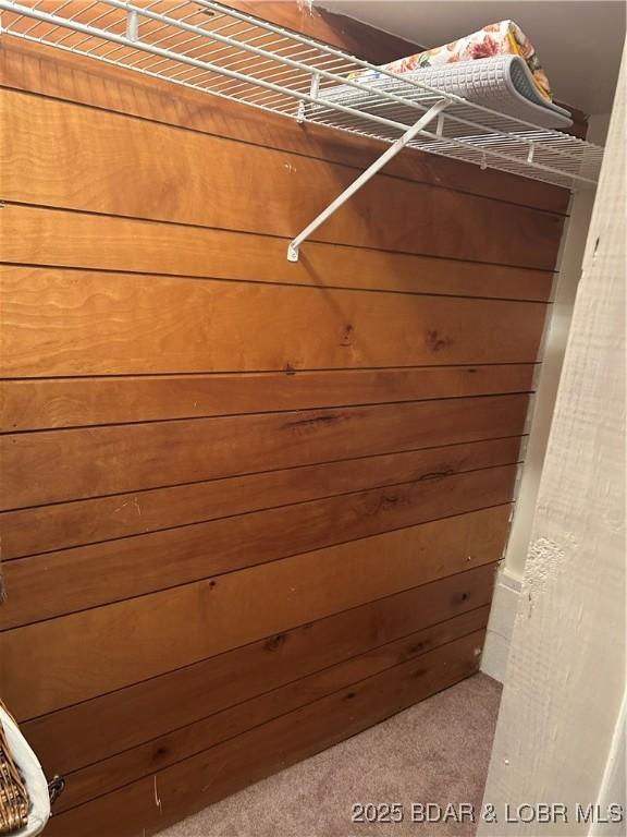 32585 N Ivy Bend Rd, Stover, MO 65078 - walk in closet featuring carpet flooring