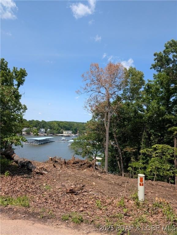 1431 San Jose Dr, Osage Beach, MO 65065 - water view
