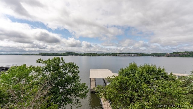 1119 Beacon Pointe Cir, Lake Ozark, MO 65049 - photo 26