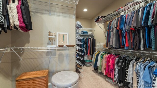 15 Pointe Ct, Lake Ozark, MO 65049 - walk in closet featuring carpet flooring