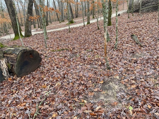Graceland Pt, Climax Springs, MO 65324