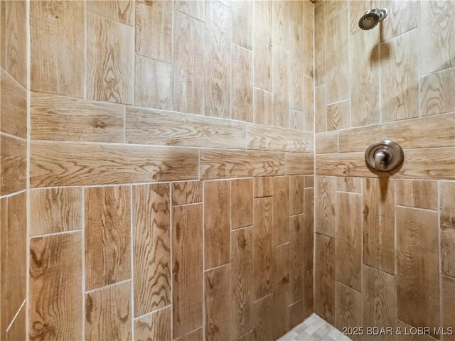 590 Jupiter Rd, Camdenton, MO 65020 - bathroom view of a tile shower