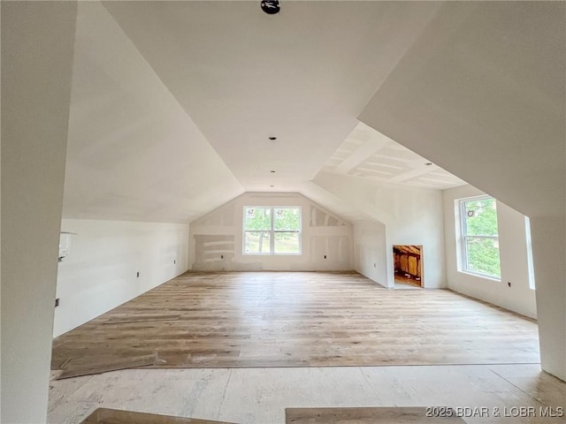 72 Quiet Meadows Dr, Linn Creek, MO 65052 - additional living space with hardwood / wood-style flooring and vaulted ceiling