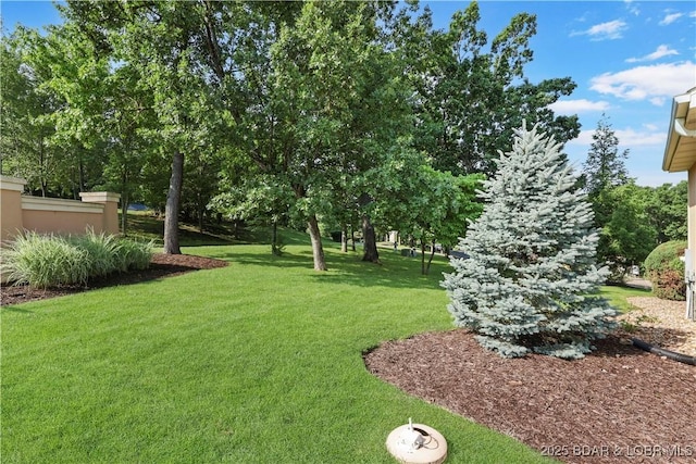 15 Via Da Contro Dr, Sunrise Beach, MO 65079 - photo 42