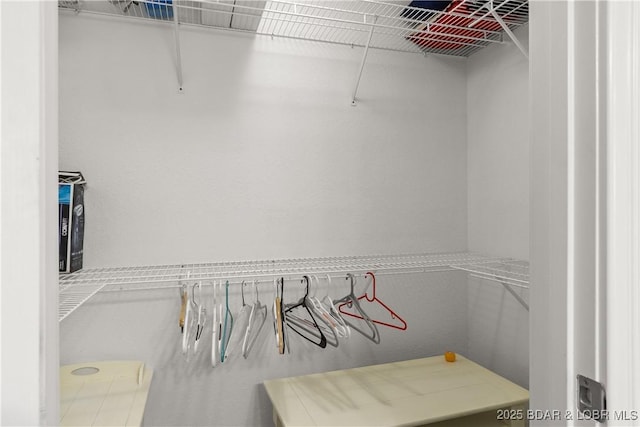 4897 Bridgepointe Dr Unit 141, Osage Beach, MO 65065 - view of walk in closet