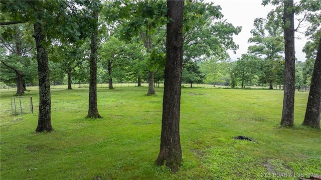 407 State Highway 73, Macks Creek, MO 65786 - view of grassy yard