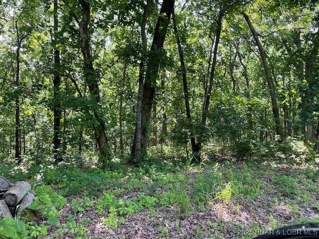Chateau Oaks Dr, Brumley, MO 65017