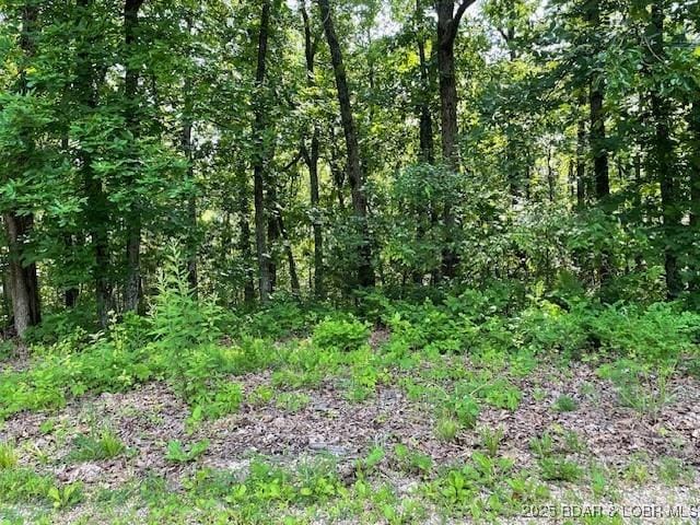 Chateau Oaks Dr, Brumley, MO 65017