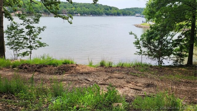 271 Racetrack Cir, Linn Creek, MO 65052