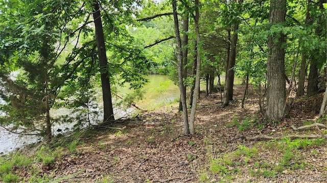 271 Racetrack Cir, Linn Creek, MO 65052