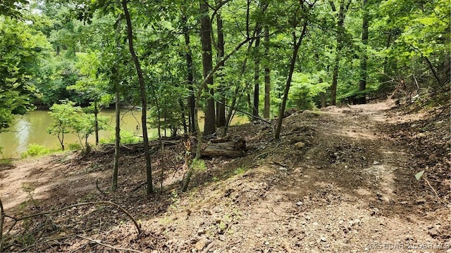 271 Racetrack Cir, Linn Creek, MO 65052