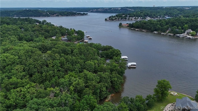 271 Racetrack Cir, Linn Creek, MO 65052