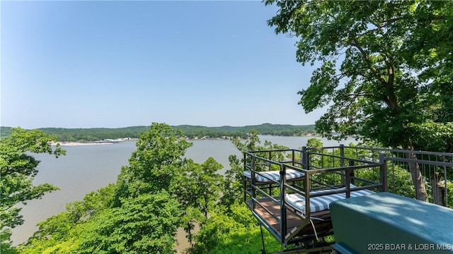 135 Lake Bluff Ln, Camdenton, MO 65020 - photo 46