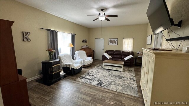 18997 Mystical Ln, Versailles, MO 65084 - living room featuring a ceiling fan, wood finished floors, and a wood stove