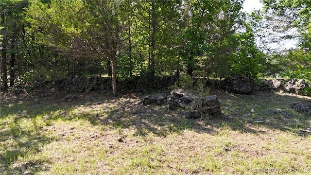 18997 Mystical Ln, Versailles, MO 65084 - view of yard