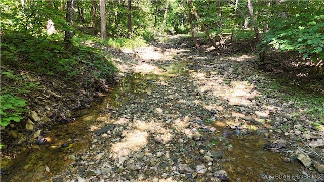18997 Mystical Ln, Versailles, MO 65084 - view of local wilderness