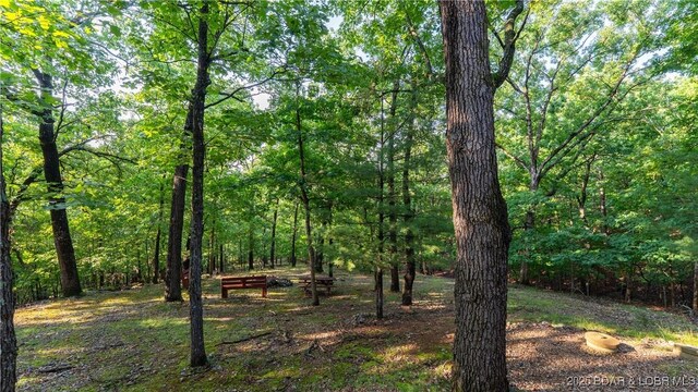 286 Foxhead Shores Dr, Linn Creek, MO 65052 - photo 5