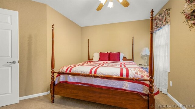 286 Foxhead Shores Dr, Linn Creek, MO 65052 - photo 27