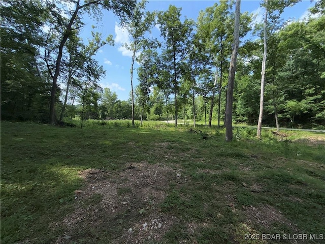 58 Aztec Ln, Eldon, MO 65026 - view of yard
