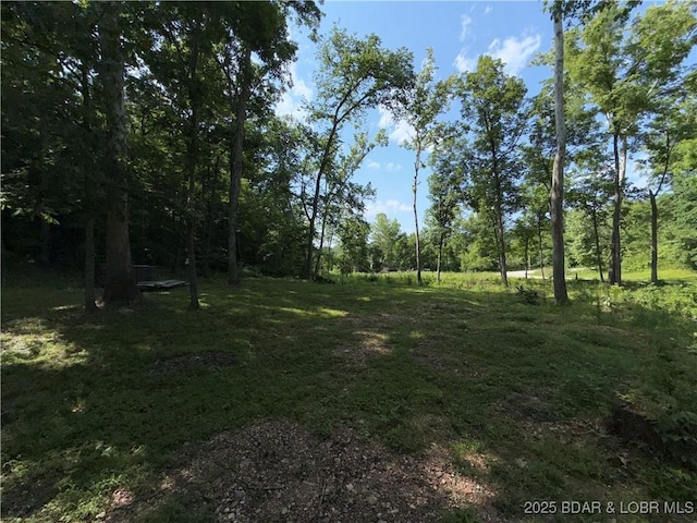 58 Aztec Ln, Eldon, MO 65026 - view of yard