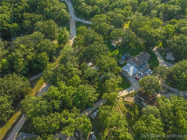 32056 Gentry Ln, Gravois Mills, MO 65037 - aerial overview of property's location